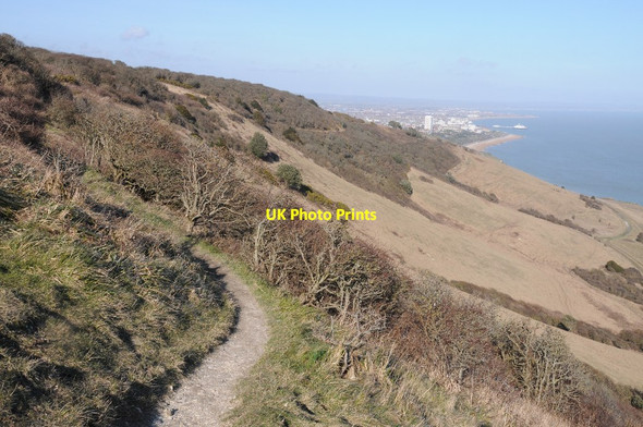 Photo 6"x4" The South Downs Way, near Beachy Head Meads\/TV6097 c2015