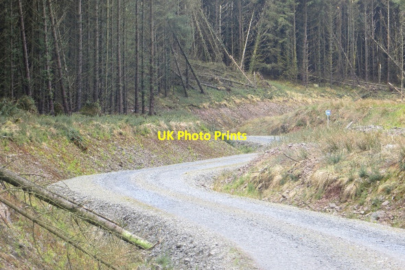 Photo 6"x4" Forest of Ae Haul Road Long Cairn\/NY0498 c2015