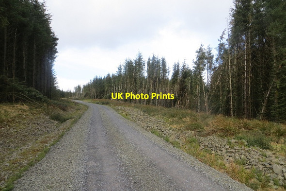 Photo 6"x4" Ae Haul Road Fulton Flow c2015