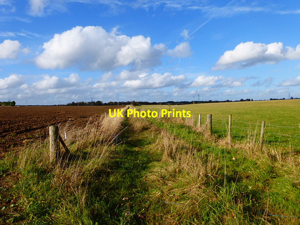 Photo 6"x4" Farmland, Cumnor Henwood\/SP4602 c2014