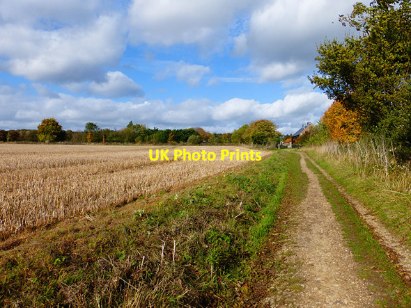 Photo 6"x4" Farmland, Sunningwell Sunningwell c2014