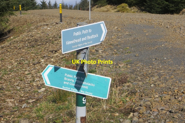 Photo 6"x4" Signpost, Forest of Ae Grey Mare\/NY0195 c2015