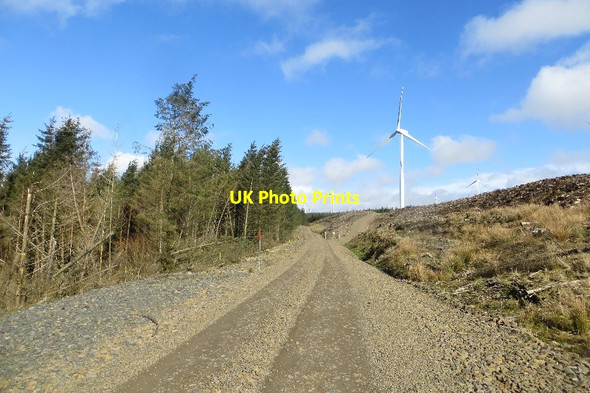 Photo 6"x4" Road, Forest of Ae Branrigg c2015