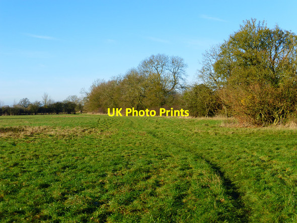 Photo 6"x4" Pasture, Kimble Marsh\/SP8109 c2014