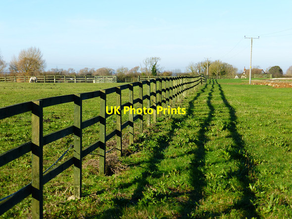 Photo 6"x4" Pasture, Kimble Marsh\/SP8109 c2014