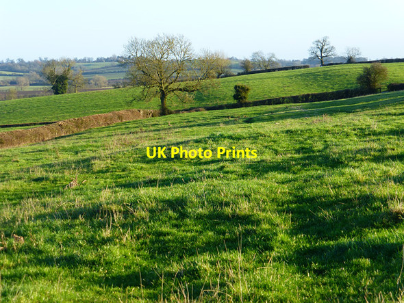 Photo 6"x4" Pasture, Weedon East End\/SP8118 c2015