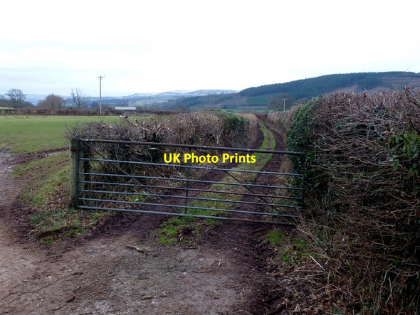 Photo 6"x4" Track and bridleway Felindre\/SO1723 c2015
