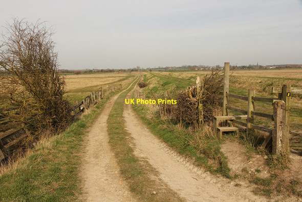 Photo 6"x4" Washingborough Fen Heighington\/TF0369 c2015