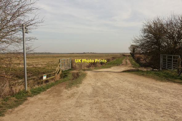 Photo 6"x4" North Dales Road Heighington\/TF0369 c2015