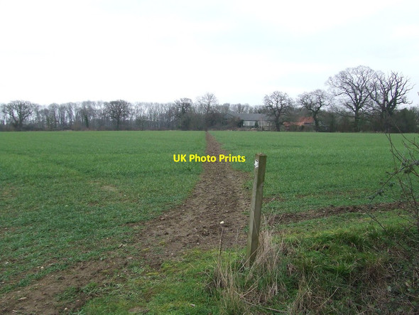 Photo 6"x4" Across The Field Peasenhall c2015