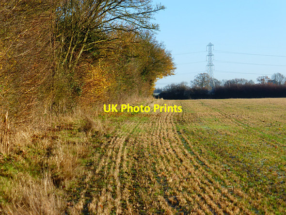 Photo 6"x4" Farmland, Ellesborough Marsh\/SP8109 c2014