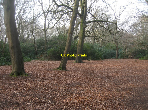 Photo 6"x4" Queen Elizabeth Park Farnborough\/SU8754 c2015