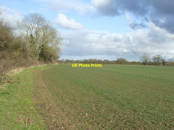 Photo 6"x4" Footpath And Field Boundary North Green\/TM3966 c2015