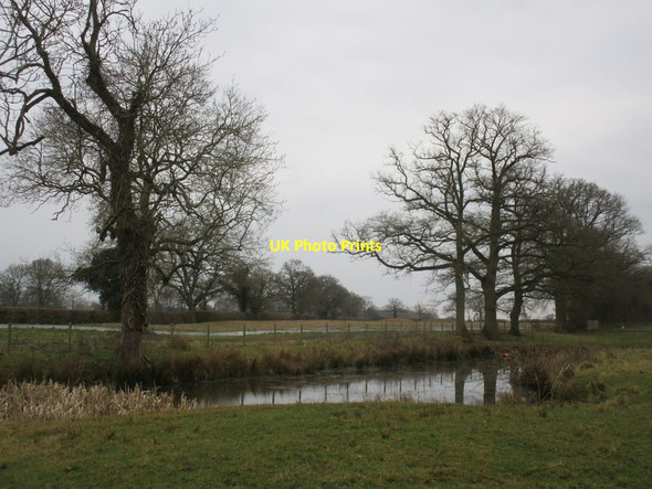 Photo 6"x4" Pond near Widmore Farm Finmere c2015