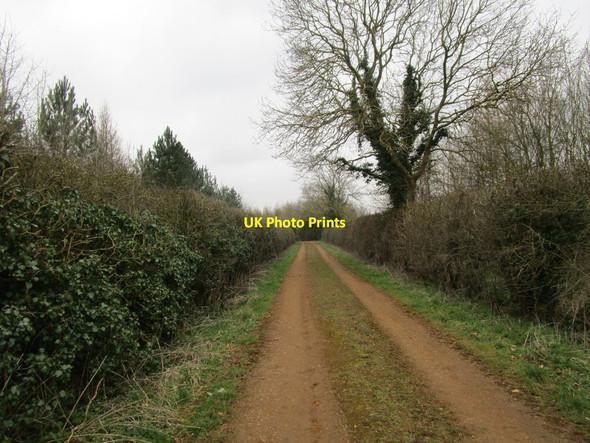 Photo 6"x4" Footpath to Hardwick Cottisford c2015