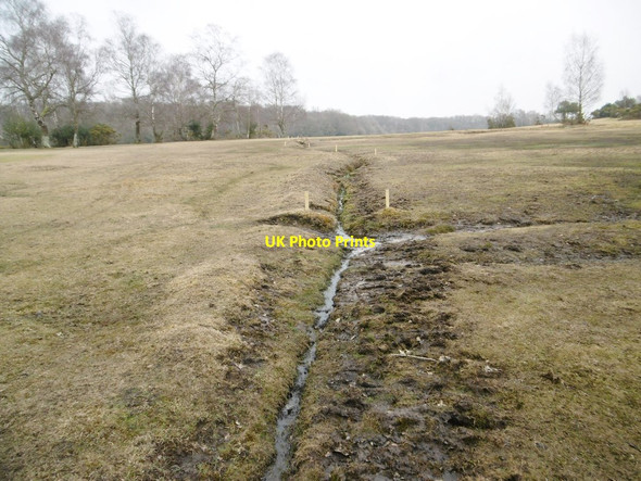 Photo 6"x4" Lyndhurst, ditch Custards c2015