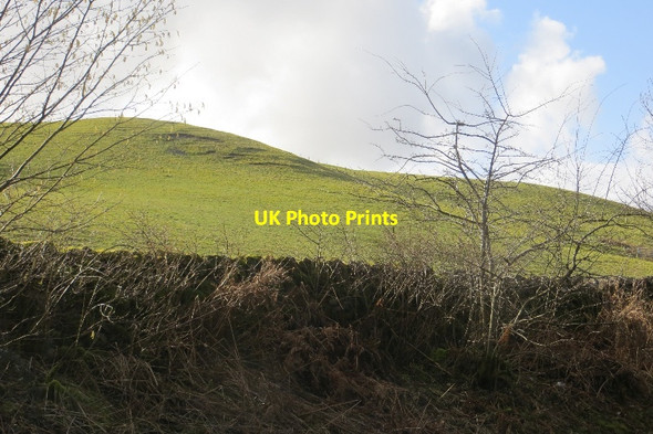 Photo 6"x4" Relic Hill, Ae Ae c2015