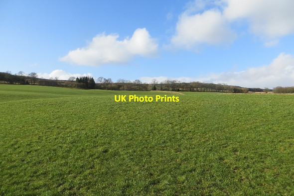 Photo 6"x4" Field, Kirkland Wester Parkgate c2015