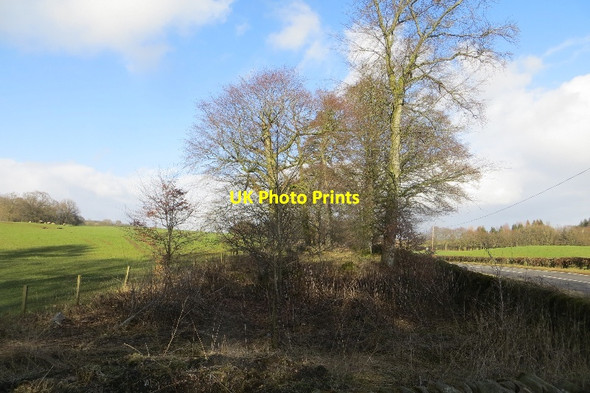 Photo 6"x4" Roadside strip, Kirkland Wester Parkgate c2015