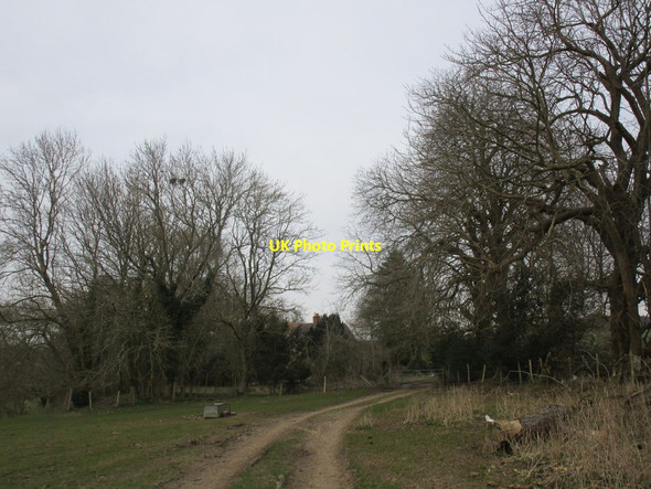Photo 6"x4" Approaching Racton Park Farm Woodmancote\/SU7707 c2015