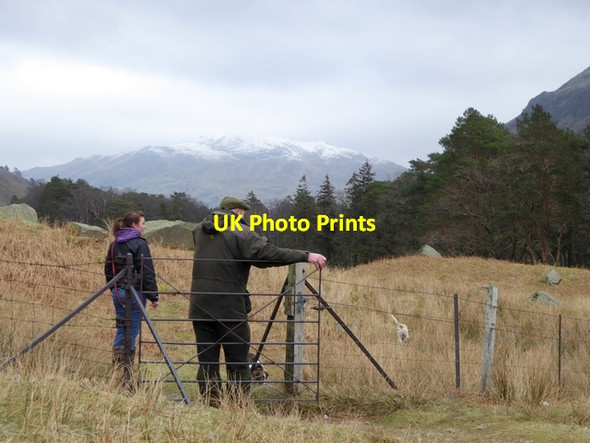 Photo 6"x4" Exercising the hounds Bridgend\/NY3914 c2015
