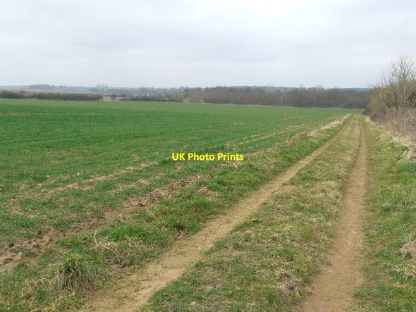 Photo 6"x4" Footpath Track And Field Boundary Chillesford c2015