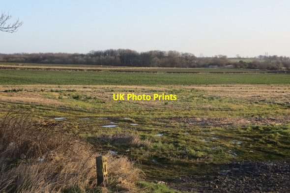 Photo 6"x4" Field awaiting development Faucheldean c2015