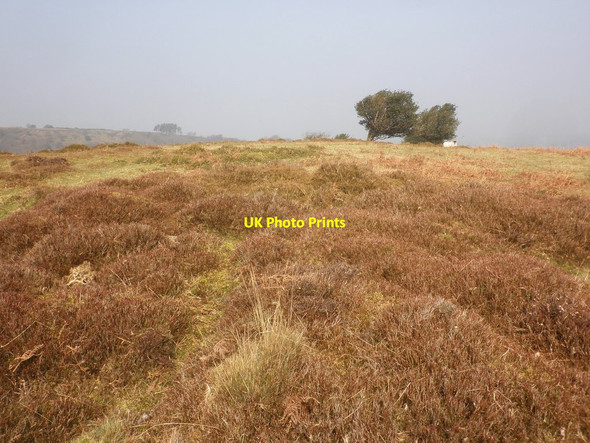 Photo 6"x4" Lower Hare Knap Holford c2015