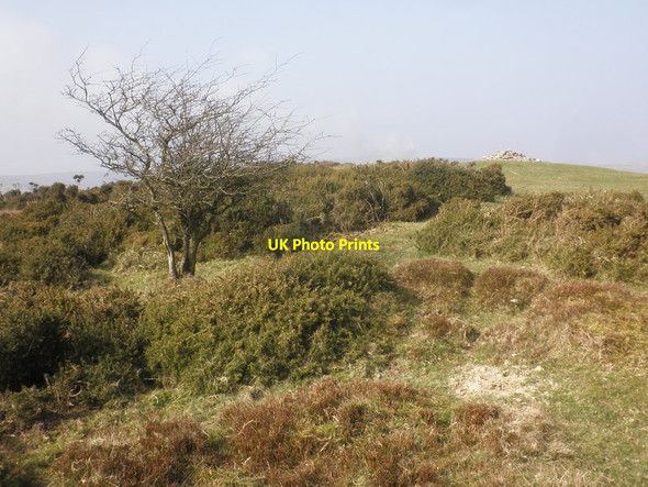 Photo 6"x4" Higher Hare Knap Holford c2015