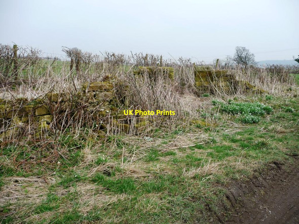 Photo 6"x4" Ruined structure alongside Weeton Lane Dunkeswick c2015