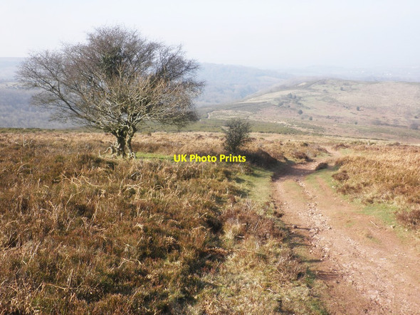 Photo 6"x4" Track to Woodlands Hill Woodlands\/ST1640 c2015