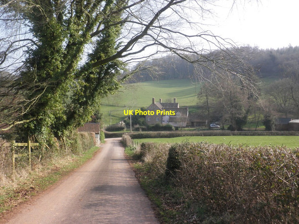 Photo 6"x4" Road to Adscombe Farm Adscombe c2015