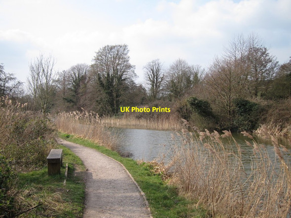 Photo 6"x4" Footpath by Royal Military Canal Palmarsh c2015