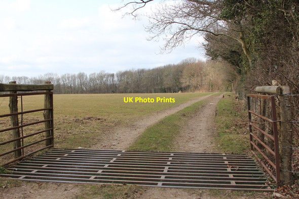 Photo 6"x4" Field near Village Farm Ridge Row c2015