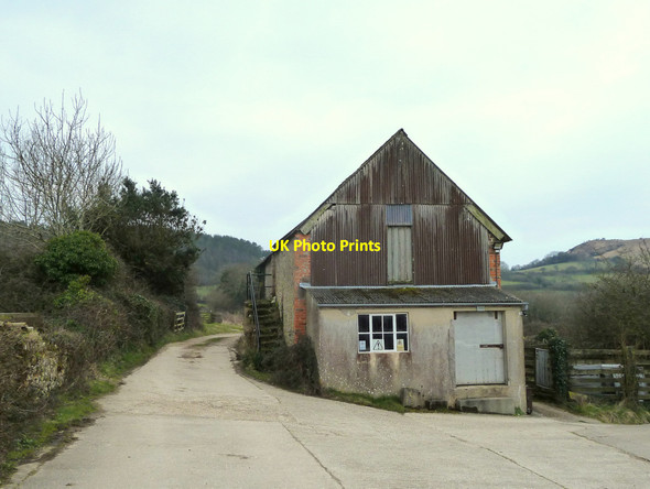 Photo 6"x4" Footpath to Golden Cap past old barn at Filcombe Farm Chideock c2015