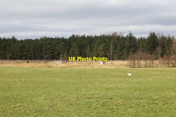 Photo 6"x4" Towards Moor Plantation Sandilands\/NS8938 c2015