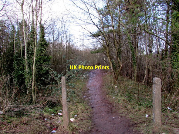 Photo 6"x4" Track north from New Road, Pontypool Pontypool\/Pont-y-pwl c2015