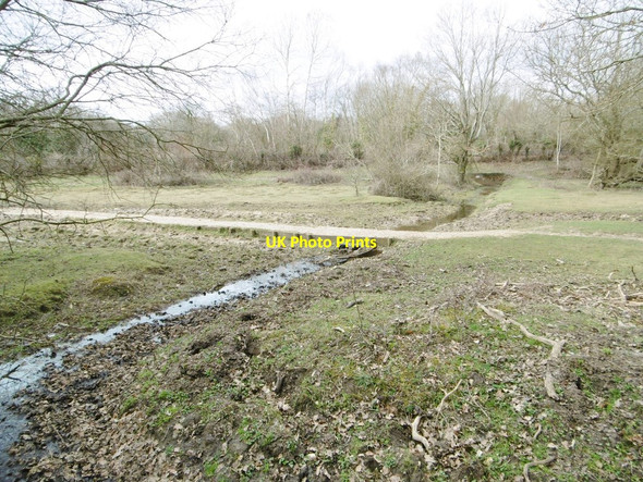 Photo 6"x4" Ashurst, causeway Ashurst\/SU3310 c2015