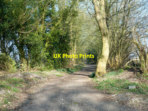 Photo 6"x4" Cock Lane Cuckoo's Knob c2015