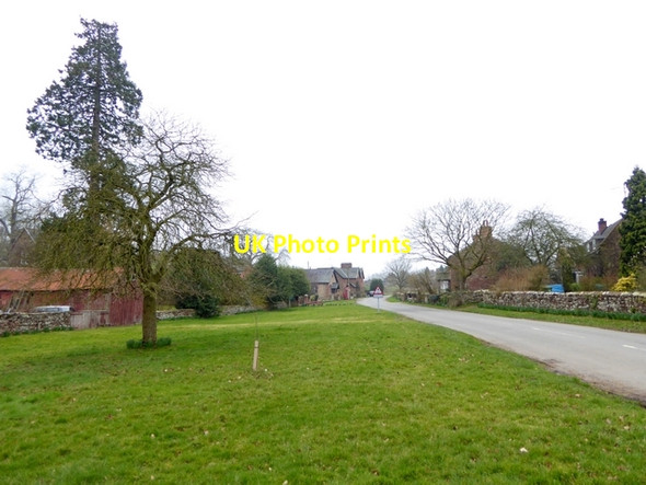 Photo 6"x4" Newbiggin Village Green Newbiggin\/NY6228 c2015