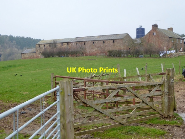 Photo 6"x4" Williamsgill Farm Newbiggin\/NY6228 c2015
