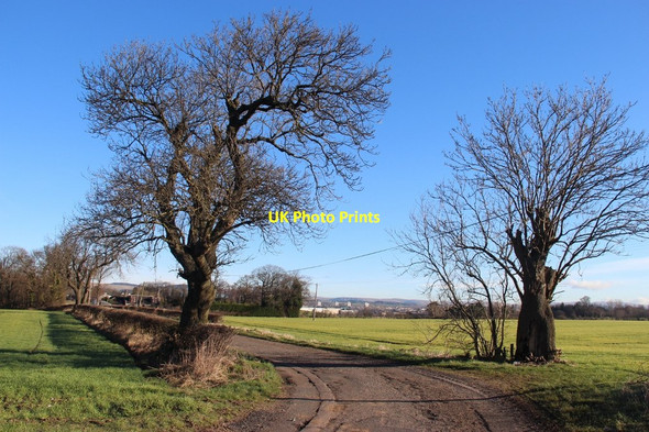 Photo 6"x4" Access to Portnauld Clydebank\/NS4970 c2015