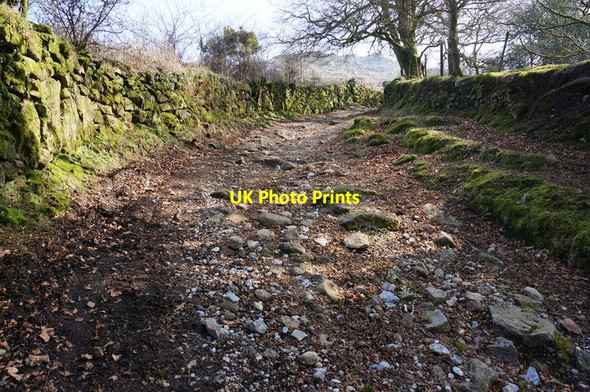 Photo 6"x4" Track to Bonehill Down Bonehill\/SX7277 c2015