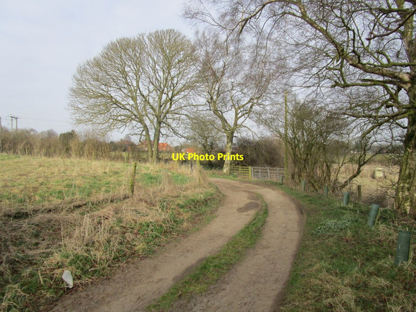 Photo 6"x4" Bend in Dams Lane Belchford c2015