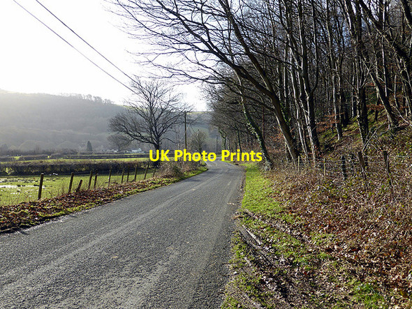 Photo 6"x4" The Cwm Rheidol road Nantyronen Station c2015