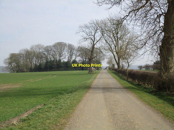 Photo 6"x4" Approaching Benniworth Walk Farm Donington on Bain c2015
