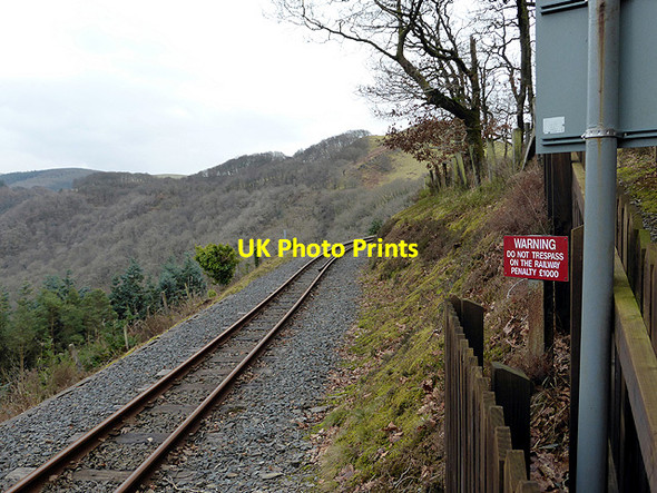 Photo 6"x4" Vale of Rheidol Railway running through Coed Rheidol Devil's Bridge\/Pontarfynach c2015
