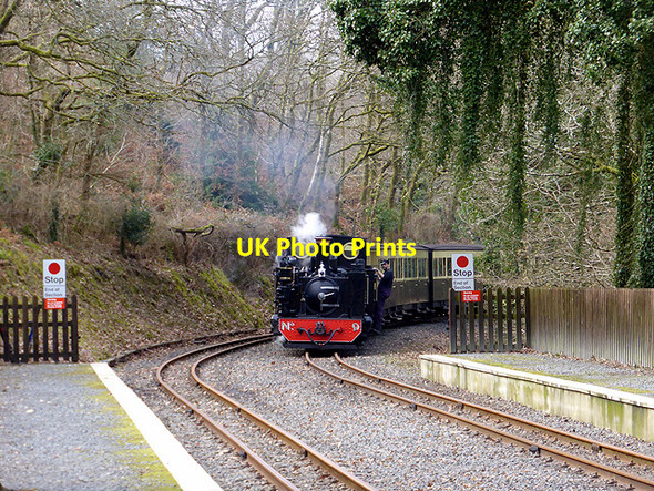 Photo 6"x4" Vale of Rheidol 'down' afternoon train Aberffrwd\/SN6878 c2015