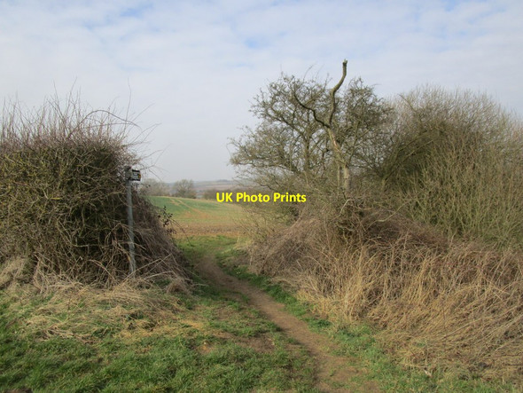 Photo 6"x4" Gap in the hedge Belchford c2015