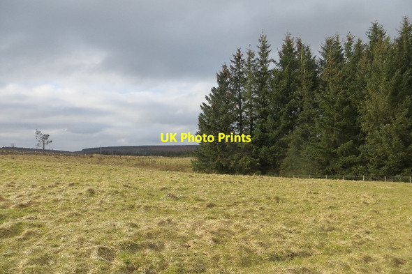 Photo 6"x4" Field, Howgate Rigside c2015